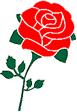 {rose picture}